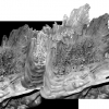 dentelle-inspiree-de-sculpture-gerard-didier