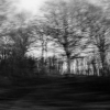 Photographe intranquille