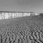 Serpol—Italie-Littoral-Romain—2009